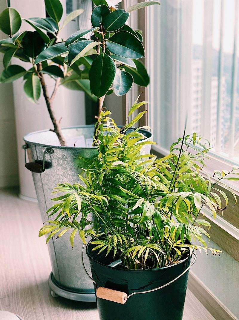 GrünOase Pflanzenpflege GmbH - Image 10