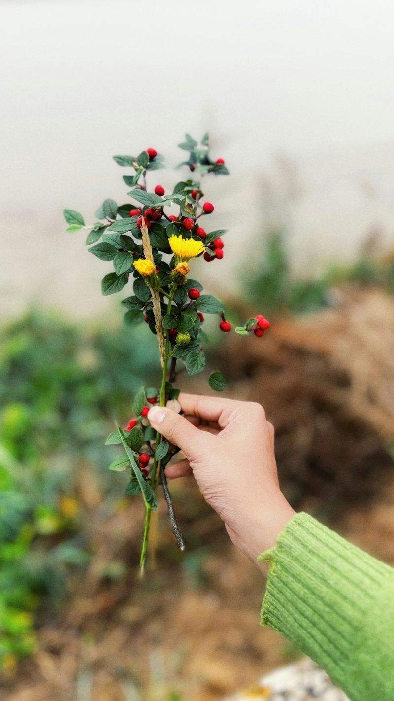 GrünOase Pflanzenpflege GmbH - Image 12