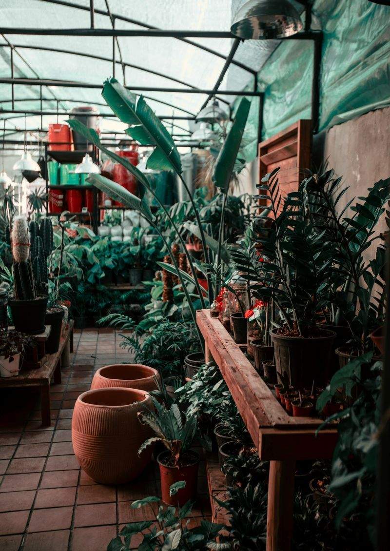 GrünOase Pflanzenpflege GmbH - Image 13